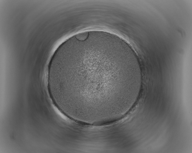 X0000112891519200908211442