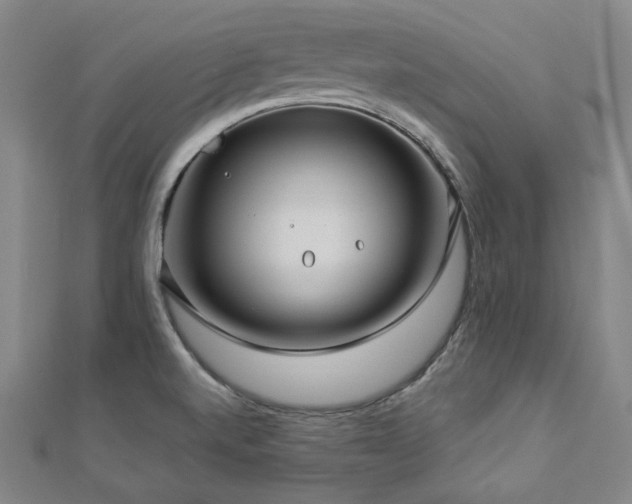 X0000112891520200908211442