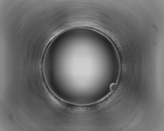 X0000112891521200908211442