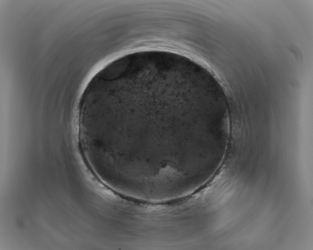 X0000112891522200908211442