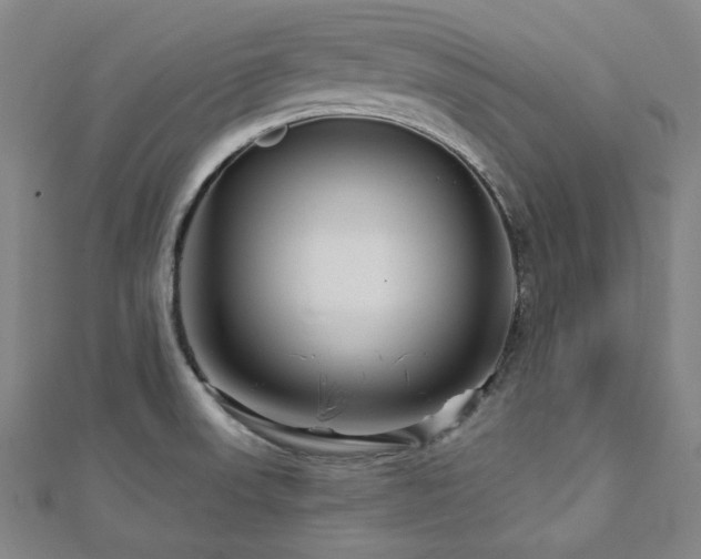 X0000112891523200908211442