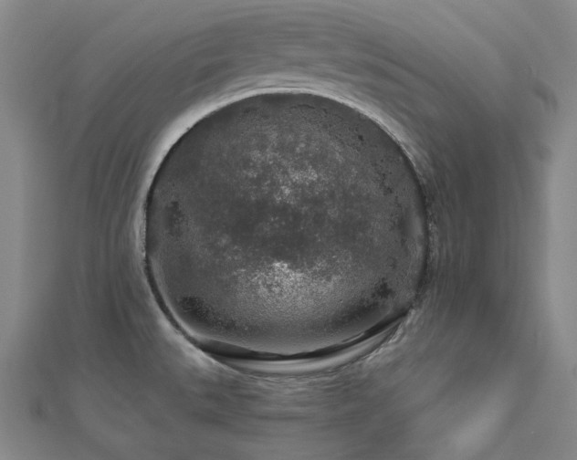 X0000112891527200908211443