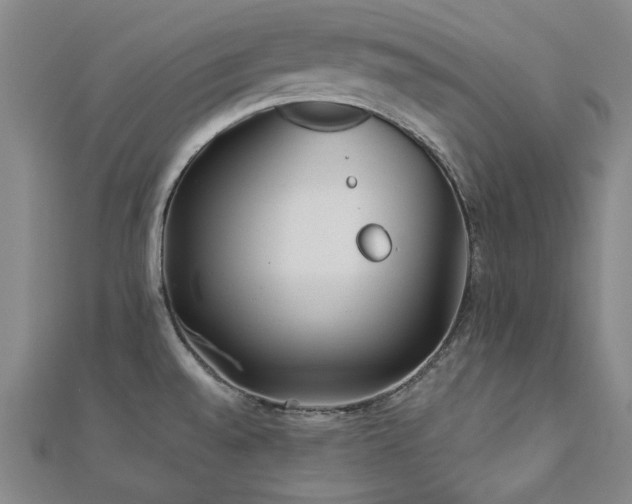 X0000112891528200908211443