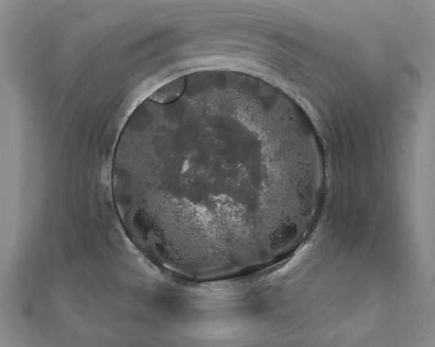 X0000112891529200908211443