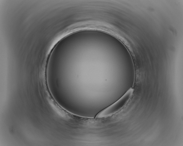 X0000112891530200908211443