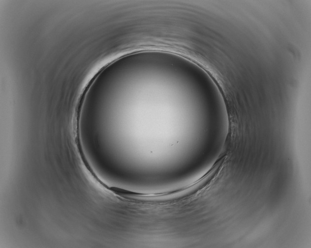 X0000112891531200908211443