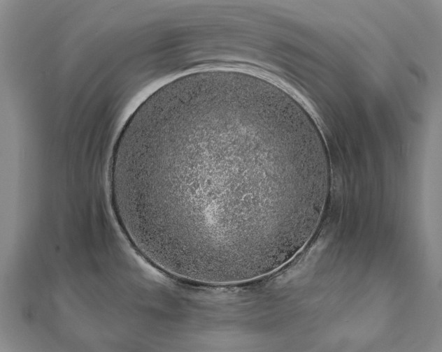 X0000112891533200908211443