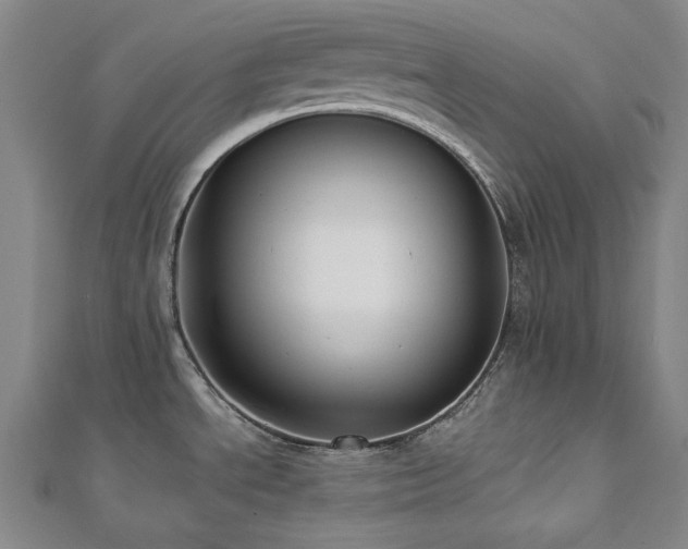 X0000112891534200908211443