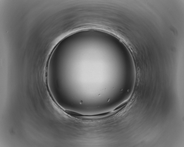 X0000112891535200908211443