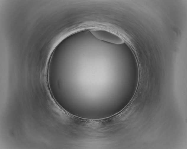 X0000112891536200908211443