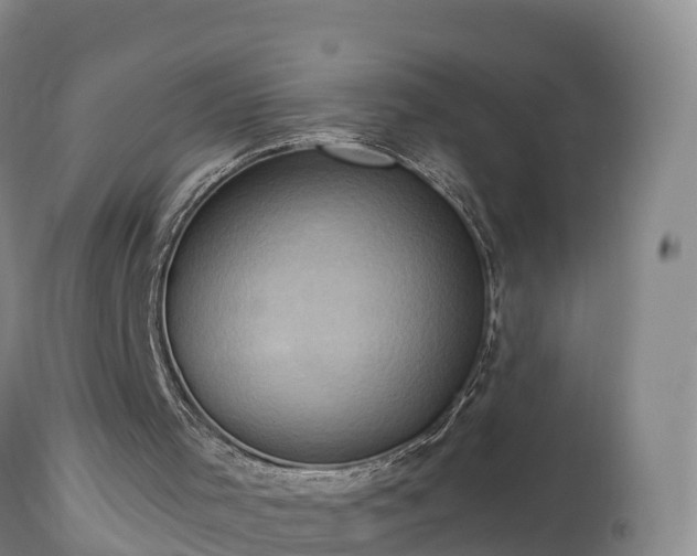 X0000112890001200908281712