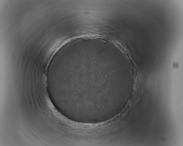 X0000112890002200908281712