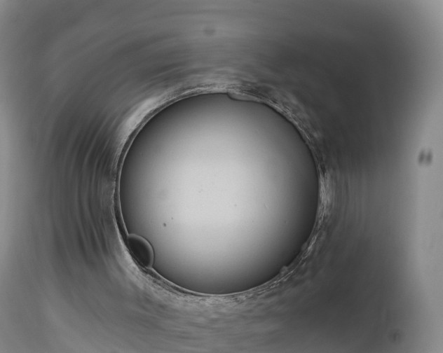 X0000112890003200908281712
