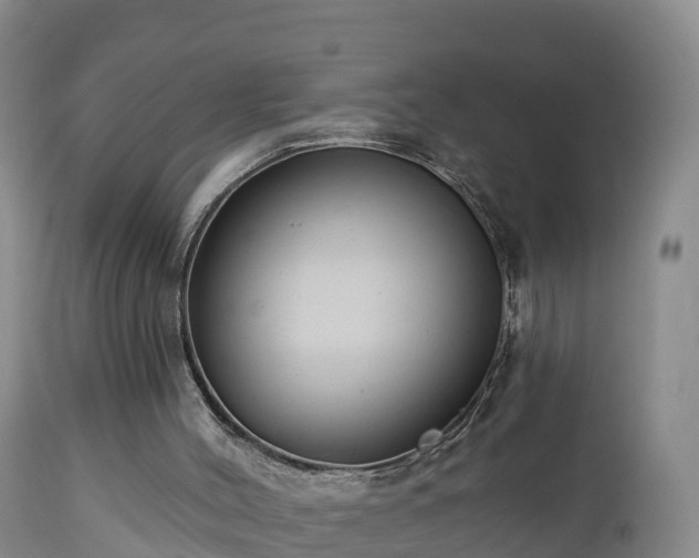 X0000112890004200908281712