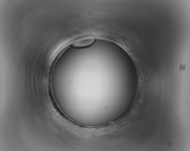X0000112890007200908281711