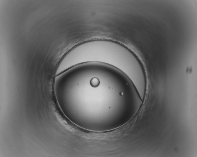 X0000112890009200908281711