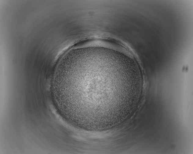 X0000112890010200908281711