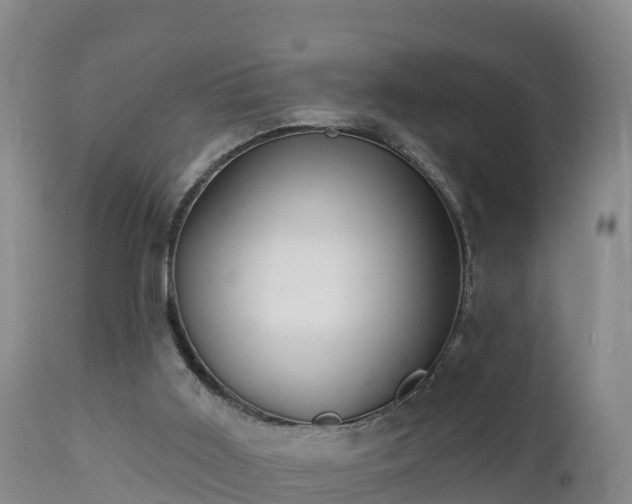 X0000112890011200908281711
