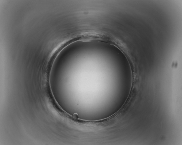 X0000112890012200908281711