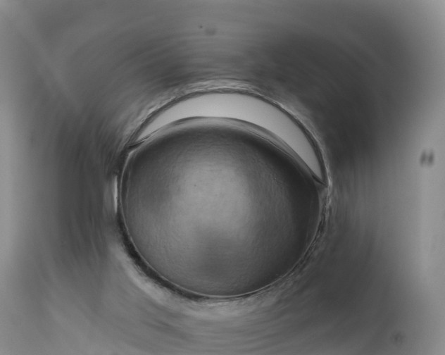 X0000112890013200908281711