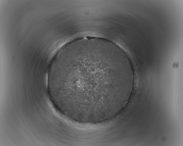 X0000112890014200908281711