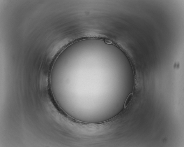 X0000112890015200908281711