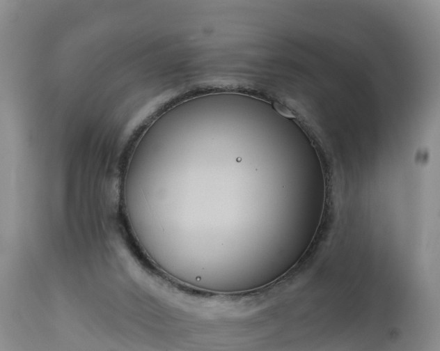 X0000112890016200908281711