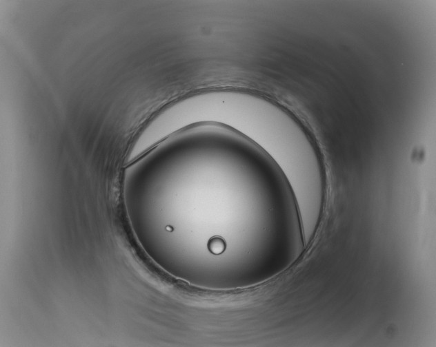 X0000112890017200908281711