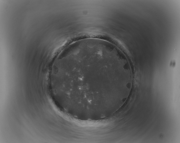 X0000112890018200908281711