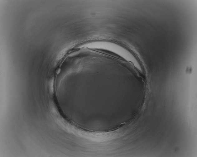 X0000112890019200908281711