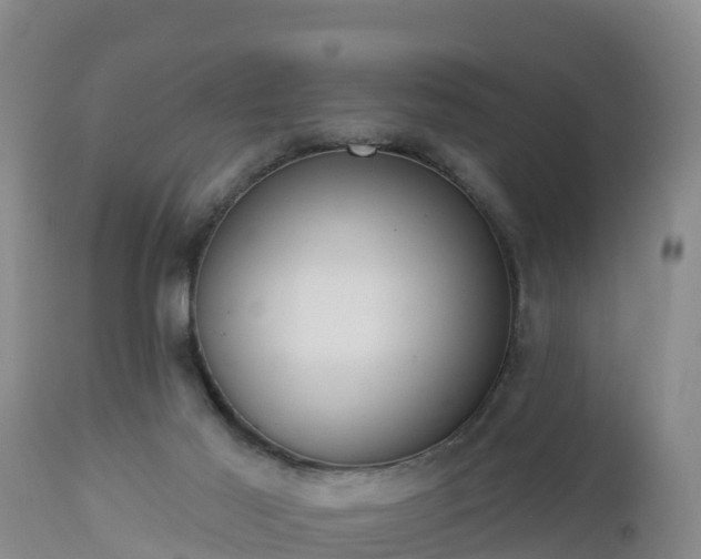 X0000112890021200908281711