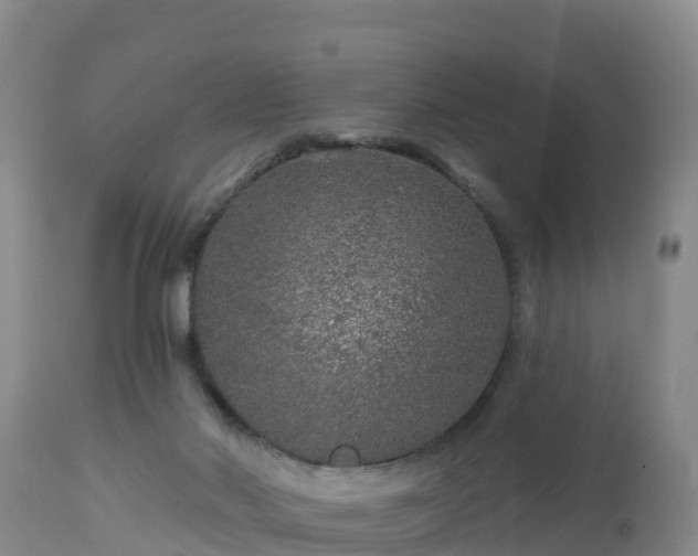 X0000112890022200908281711