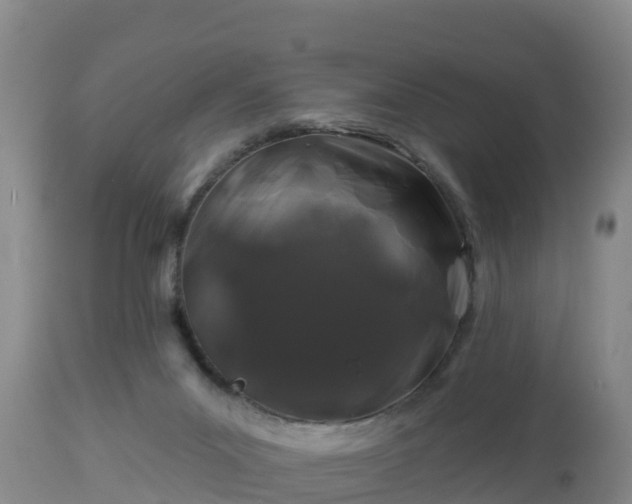 X0000112890023200908281711