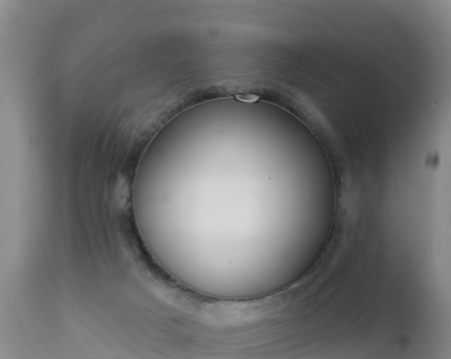 X0000112890025200908281711