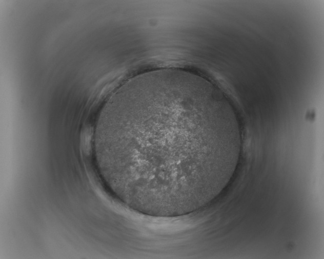 X0000112890026200908281711