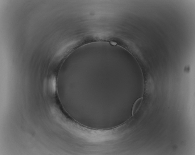 X0000112890027200908281711