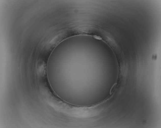 X0000112890029200908281711