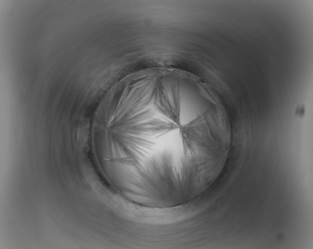 X0000112890030200908281711
