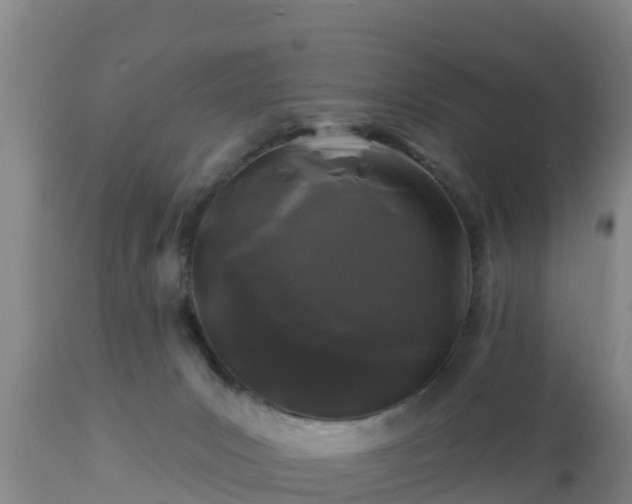 X0000112890031200908281711