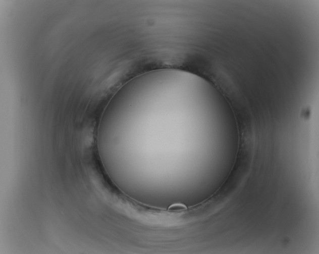 X0000112890032200908281711