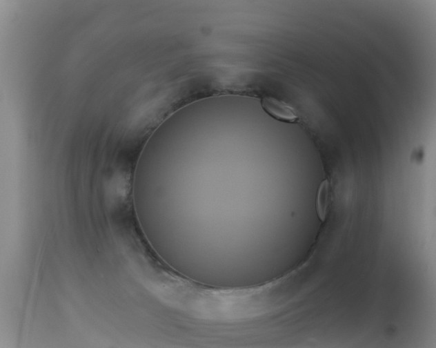 X0000112890033200908281711
