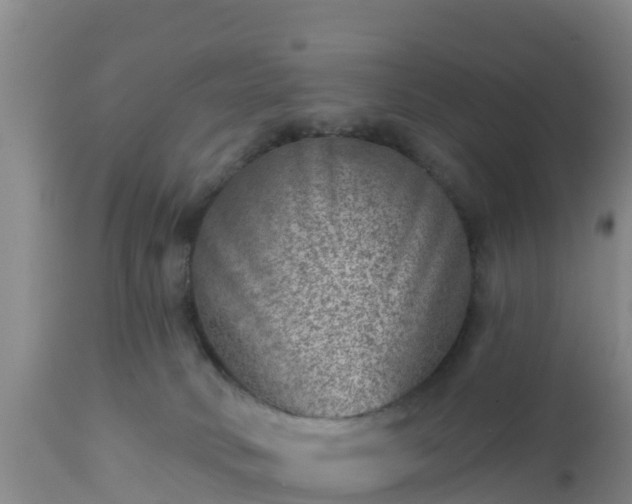 X0000112890034200908281711