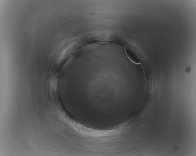 X0000112890035200908281711