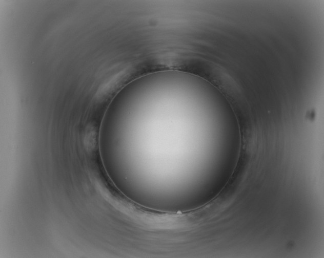 X0000112890036200908281711