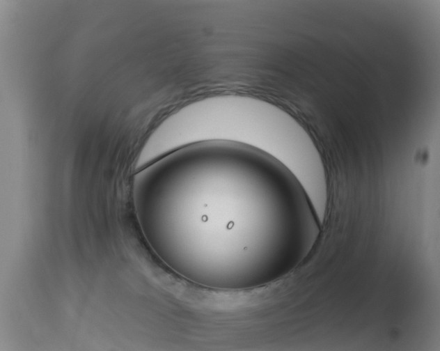 X0000112890037200908281711