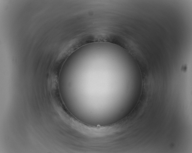 X0000112890038200908281711