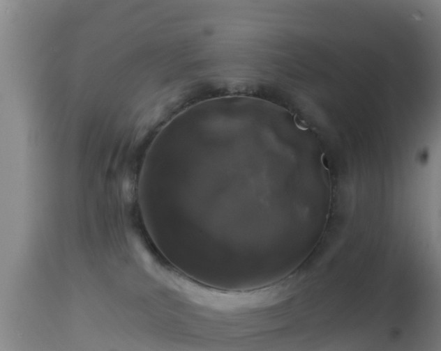 X0000112890039200908281711