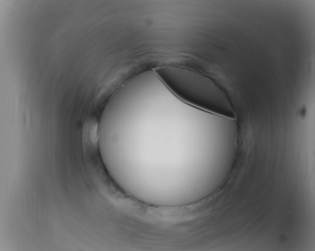 X0000112890041200908281711