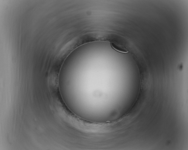 X0000112890044200908281711
