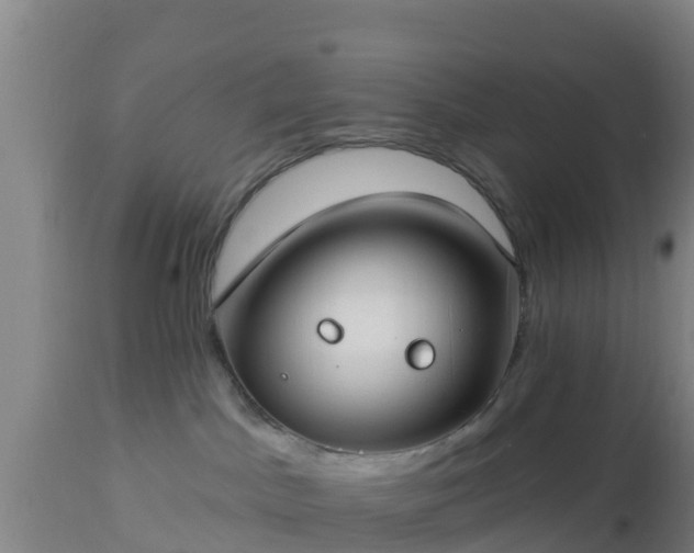 X0000112890045200908281711